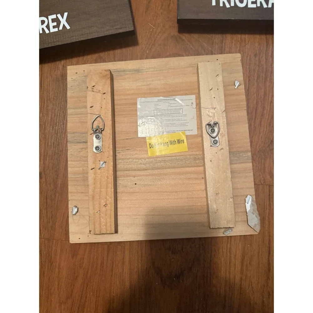 3pc Dinosaur Footprint Wooden Wall Art Set T-Rex Triceratops Stegosaurus Decor‎